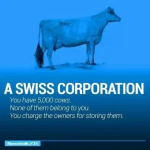 Image Slide 8 Defines Swiss Corporations